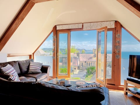 TV, video-game console, DVD player