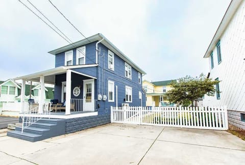The Blue Fig
