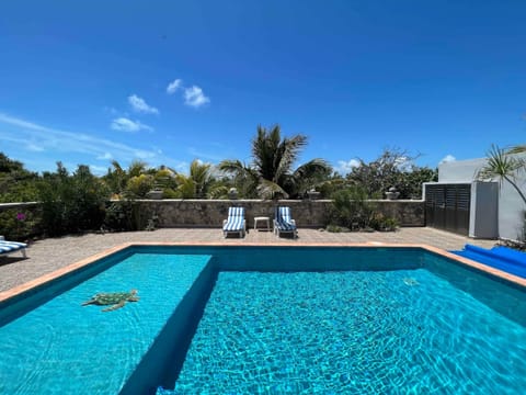 Secluded Backyard Pool