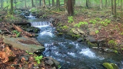 Beautiful waterfall in the backyard of the house