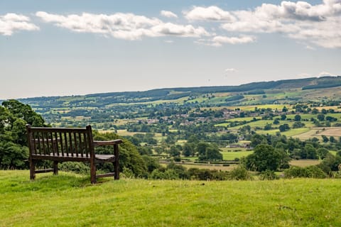 Corner Cottage, Harmby: Leyburn and the glorious Shawl is just a 5 minute drive or 30 minute walk away
