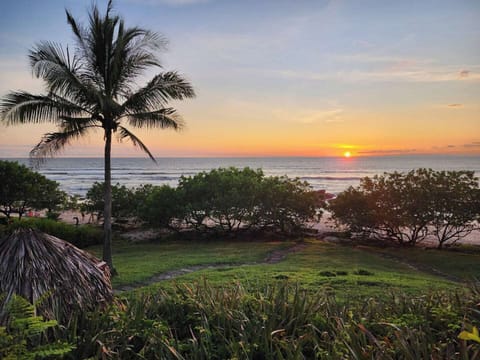 Beachfront garden with spectacular ocean views, perfect for watching the sunset and enjoying the relaxing Langosta coast.