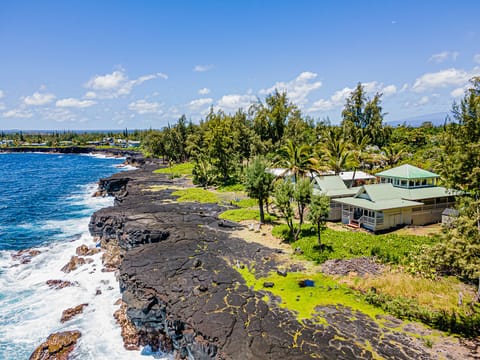 Temple Tree Retreat - An Adventurer's Oceanfront Paradise!