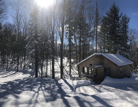 The Luna Cabin in her winter glory