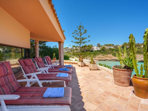 Plant, Property, Sky, Flowerpot, Shade, Houseplant, Outdoor Furniture, Chair, Water, Swimming Pool