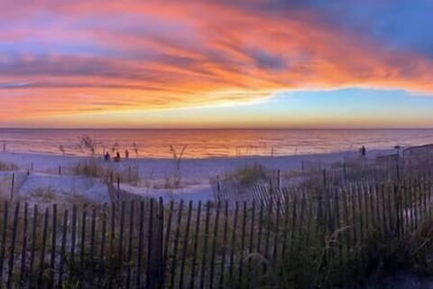 Unforgettable Cotton Candy Skies