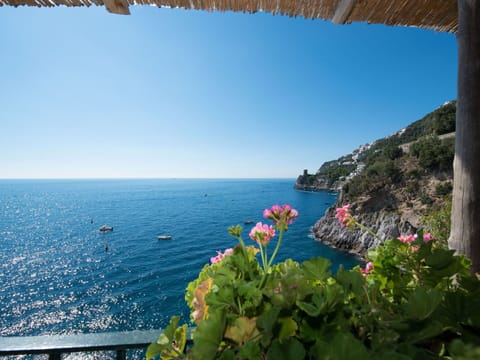 Water, Sky, Plant, Flower, Property, Window, Blue, Azure, Coastal And Oceanic Landforms, Body Of Water
