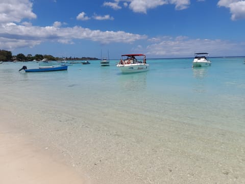 Apartment, 1 Bedroom, Balcony | Beach | Beach nearby