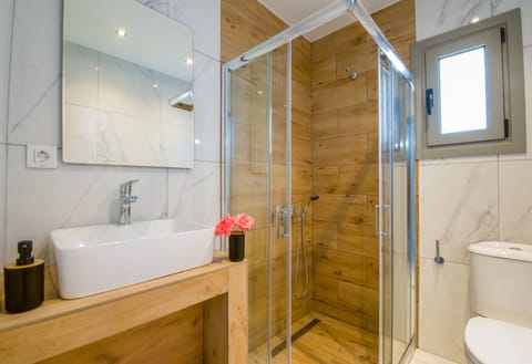 Shower, rainfall showerhead, hair dryer, slippers