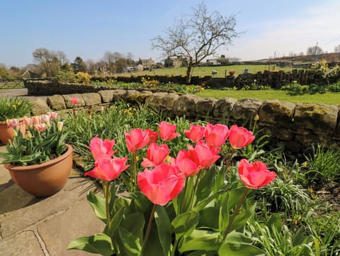 Cottage | Property grounds