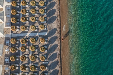 Private beach, free beach shuttle, free beach cabanas, sun loungers