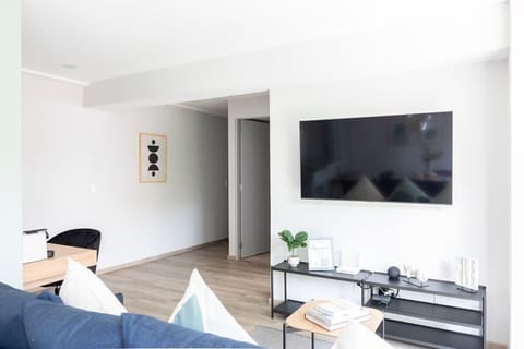 Cozy living room with a TV