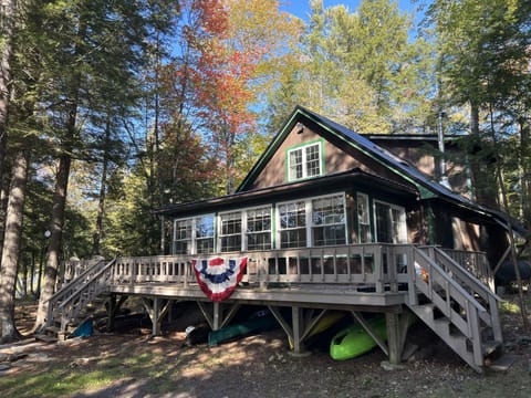 The leaves are changing. Foliage is so beautiful. 