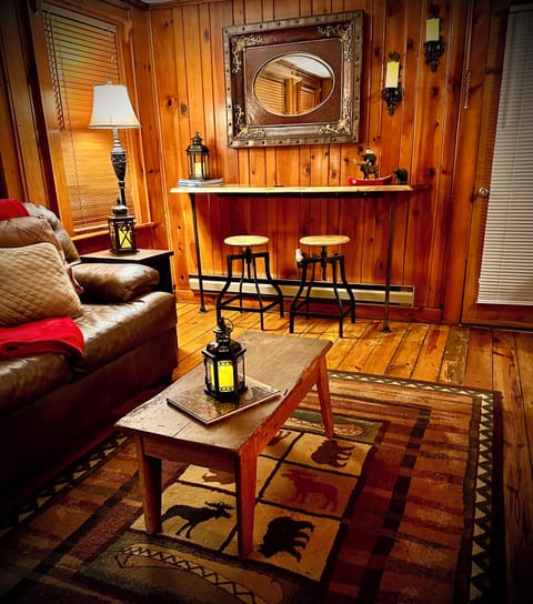 Cozy and warm cabin den!