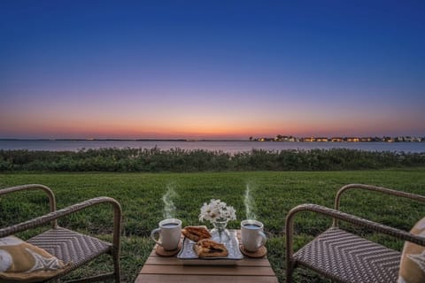 Gorgeous nights
