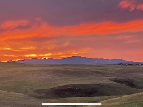 Summer Sunsets
