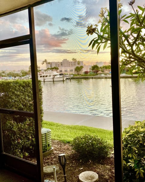 View from screened-in lanai 