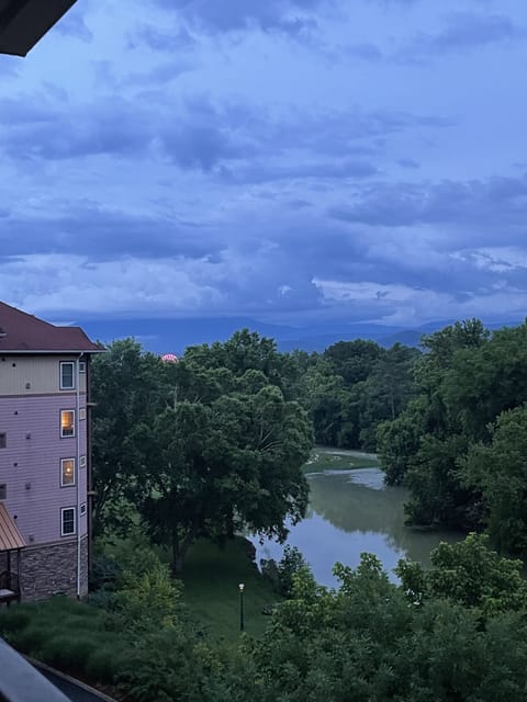 River front and layered Mountain View’s 