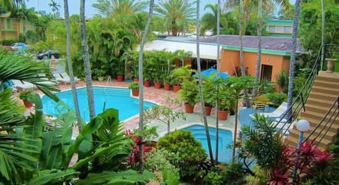 Outdoor pool, pool umbrellas, sun loungers