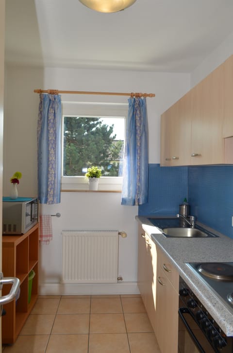 Business Apartment, Non Smoking, Balcony (Large) | Private kitchen