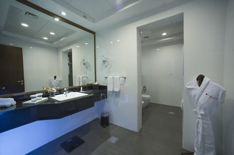 Combined shower/tub, free toiletries, hair dryer, bathrobes