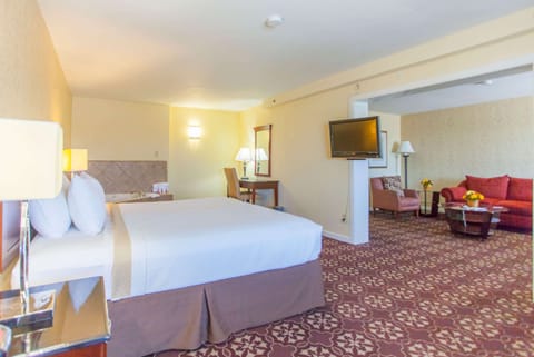 Deluxe Studio Suite, 1 King Bed, Non Smoking | Desk, iron/ironing board, free cribs/infant beds, free WiFi