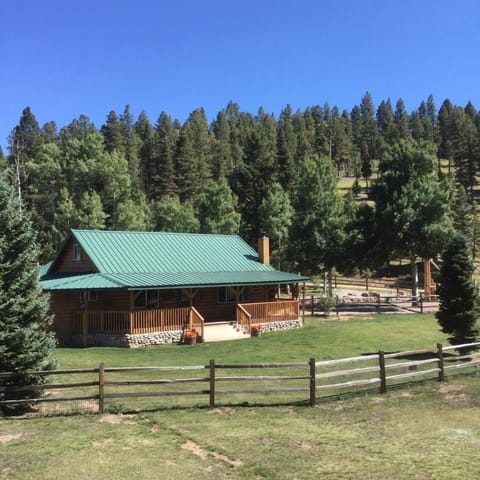 Two Bears Cabin Rental