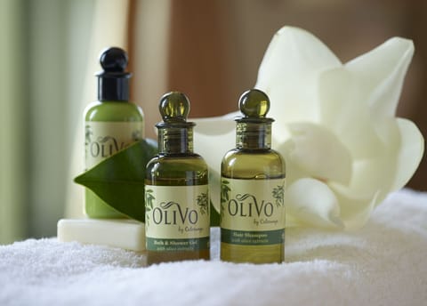 Presidential Suite | Room amenity