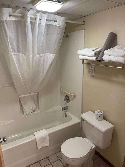 Combined shower/tub, free toiletries, hair dryer, towels