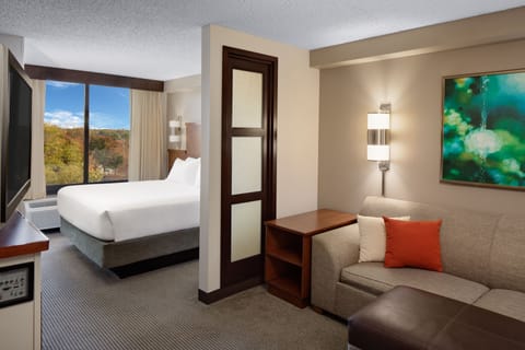 Premium bedding, down comforters, in-room safe, desk