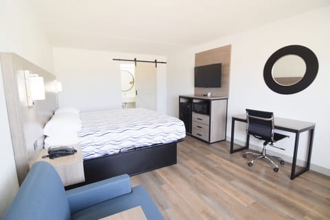 Room, 1 King Bed, Non Smoking | Desk, iron/ironing board, free WiFi, bed sheets