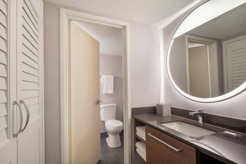 Eco-friendly toiletries, hair dryer, towels