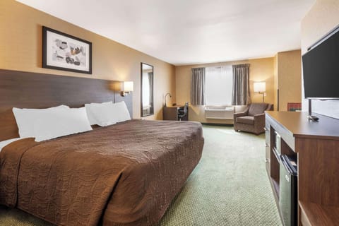 Standard Room, 1 King Bed, Non Smoking, Jetted Tub | Iron/ironing board, free cribs/infant beds, free WiFi, bed sheets