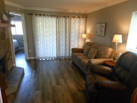 Living area with sleeper sofa