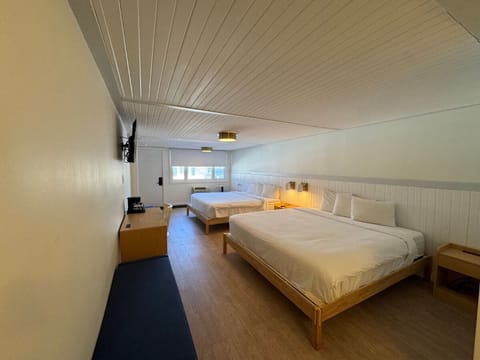 Suite | Desk, blackout drapes, iron/ironing board, free WiFi