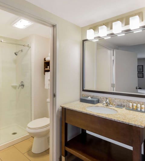 Combined shower/tub, eco-friendly toiletries, hair dryer, towels