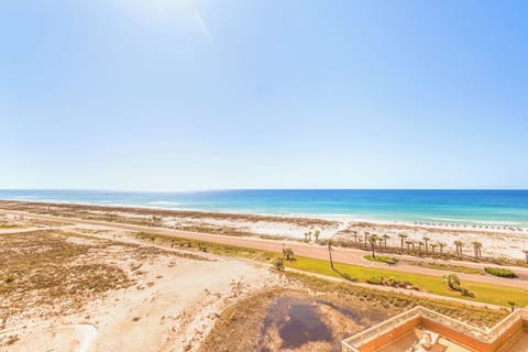 View 1.0