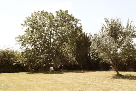 Region [summer] (>5 km)