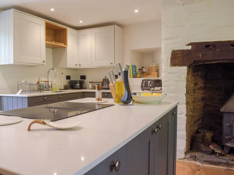 Kitchen area | Lower Goytre Farmhouse, Knighton