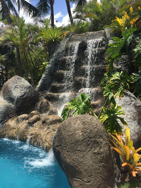 Outdoor pool, open 9:00 AM to 8:00 PM, pool umbrellas, sun loungers