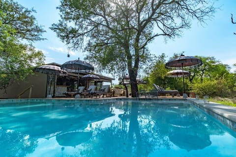 Outdoor pool, pool umbrellas, sun loungers