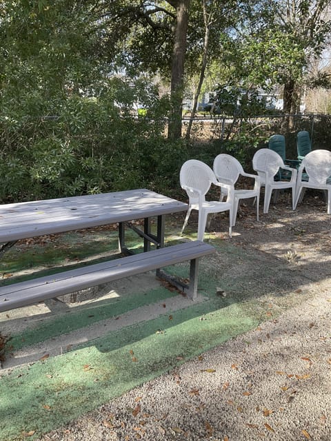 Fenced backyard with shade tree