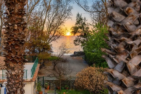 Superior Room | Balcony view