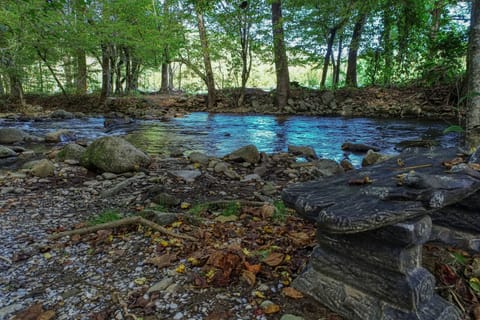 Cosby Creek