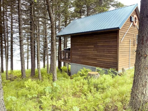 View of Augustine Cabin from spruce grove