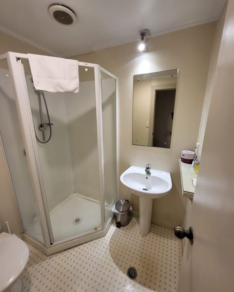 Double Room | Bathroom | Shower, free toiletries, hair dryer, towels