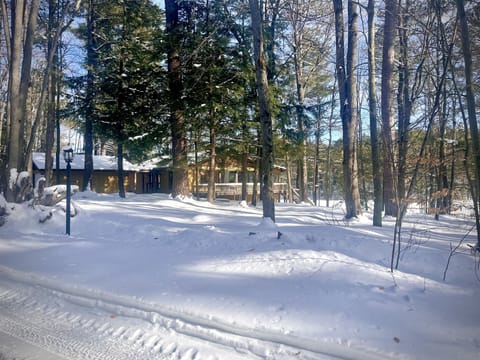 Winter view from driveway. Louie’s pond to right of home.
