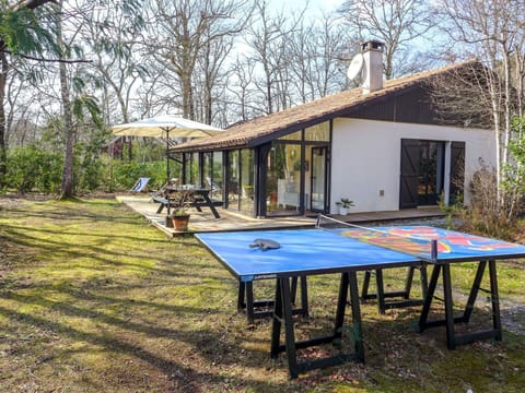 Plant, Table, Furniture, Property, Sky, Building, Table Tennis Racket, Sports Equipment, Tree, Window