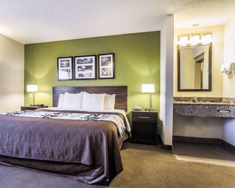 Standard Room, 1 King Bed, Non Smoking | Desk, blackout drapes, iron/ironing board, rollaway beds