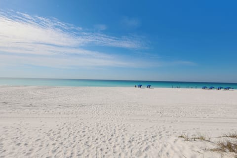 On the beach
